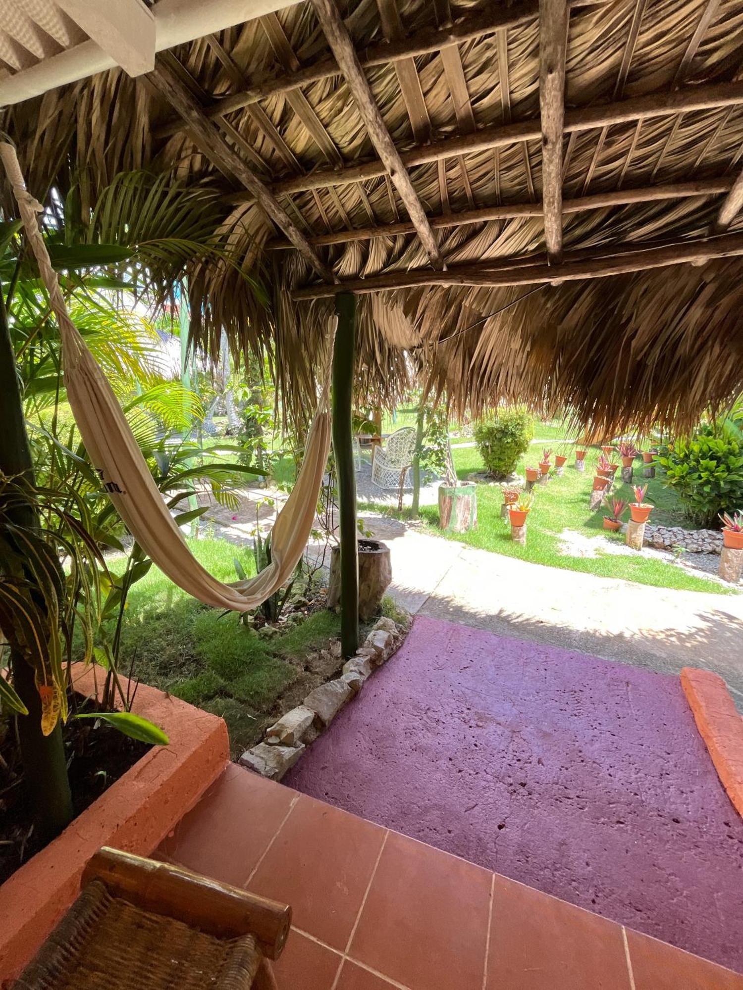 Arena Hotel Boutique Las Galeras Extérieur photo