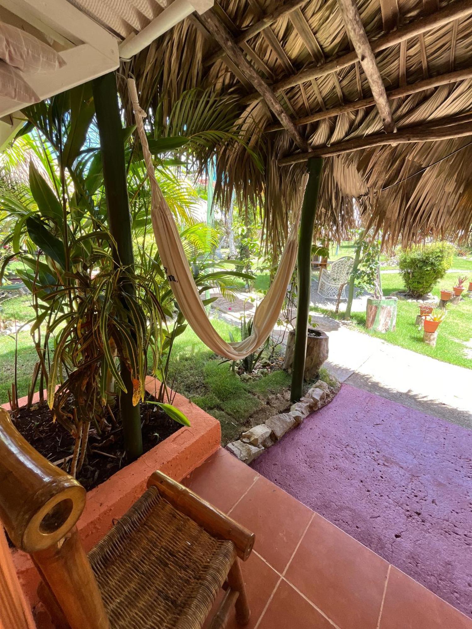 Arena Hotel Boutique Las Galeras Extérieur photo