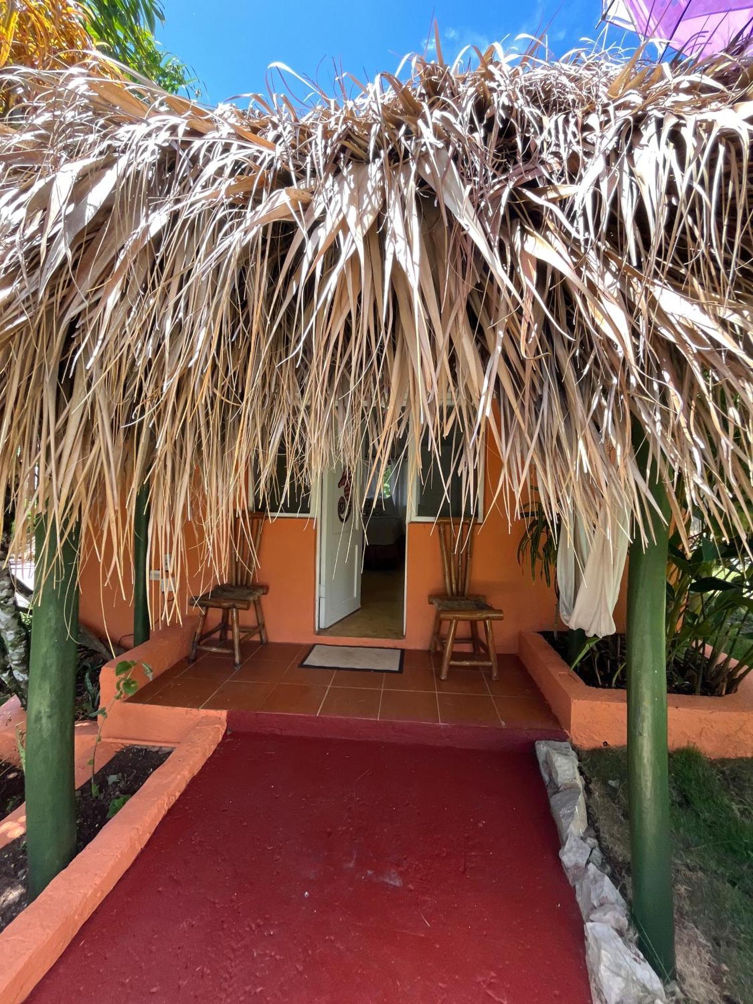 Arena Hotel Boutique Las Galeras Extérieur photo