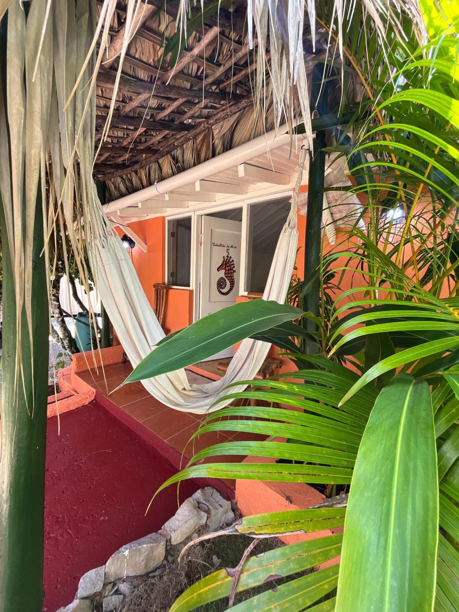Arena Hotel Boutique Las Galeras Extérieur photo